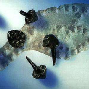 Kaliq nails,AD 9,Kalkriese (Germany)