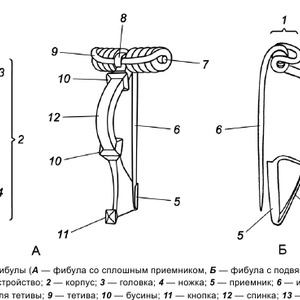 Structure of the crossbow fibula
