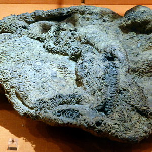 Fragment of the Roman lorica hamata. Saalburg Museum,Germany. 1st century AD
