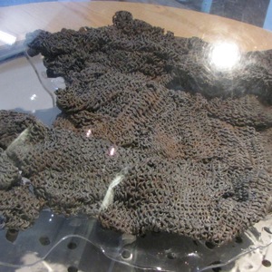 Lorica hamata. Roman fort and Museum of Cortesia Arbeia. 1-2 century AD