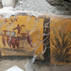 Fresco at the entrance to the thermopolium. Pompeii. 1st century AD