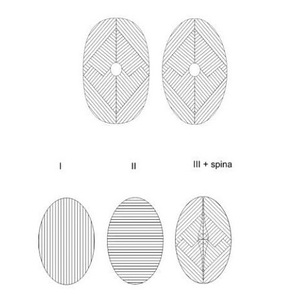 Scheme of laying boards in boards