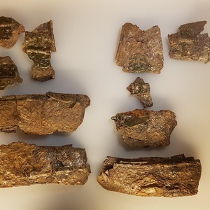 Lorica segmentata parts, found in Colonia Ulpia Traiana Augusta Dacica Sarmizegetusa. Muzeul National de Istorie a Transilvaniei. Second century CE