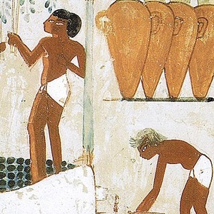 Fragment with amphorae from the tomb of Nakht. Ancient Egypt. Metropolitan Museum of Art. 15th century BC