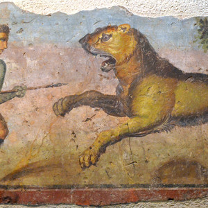 Image of a venator with a lion. Amphitheater "Emerita Augusta". National Museum of Roman Art,Merida. Late 1st century AD