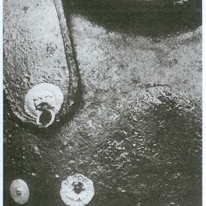 An iron thorax with gold accessories, found in the Prodromi tomb in Epirus. 290-270 BCE