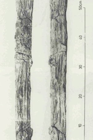 Blades of spathas from Dura-Europos, mid-3rd century AD.
