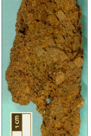 Fragment of a plume from Usk, 60s AD, National Museum of Wales.