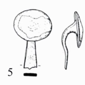 Element of lorica segmentata found during excavations on the hill of El Manakh, the area of deployment of Legio VI and Legio X, 1-2 centuries AD.