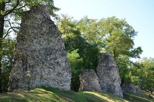 Remains of the Roman aqueduct of Mogontiacum. Water supply formed part of the urban infrastructure that grew around the legionary centre.