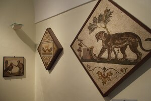 A gallery of mosaics from Pompeii and other Vesuvian towns in the National Archaeological Museum of Naples.