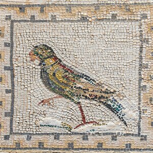Италика: Mosaico de los Pájaros, ruinas romanas de Itálica, Santiponce, Sevilla, España, 2015-12...; визуальный источник по памятнику, римский период, археологическая зона или музейный контекст.