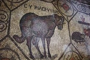 Аквилея: Aquileia, Basilica. Montone Foto Giovanni Dall'Orto; визуальный источник по памятнику, римский период, археологическая зона или музейный контекст.