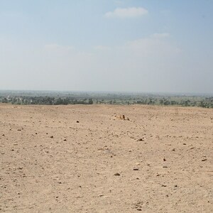 Karanis: Karanis 004; visual evidence for the site, Roman period, archaeological site or museum context.