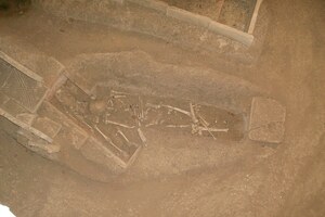 Viminacium: Skelet; visual evidence for the site, Roman period, archaeological site or museum context.
