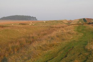 Вал Адриана: (The line of) Hadrian's Wall near Shield on the Wall - geograph.org.uk - 592782; предмет материальной культуры или музейная находка, связанный с памятником, римский период или локальный археологический контекст.