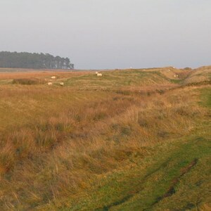 Вал Адриана: (The line of) Hadrian's Wall near Shield on the Wall - geograph.org.uk - 592782; предмет материальной культуры или музейная находка, связанный с памятником, римский период или локальный археологический контекст.