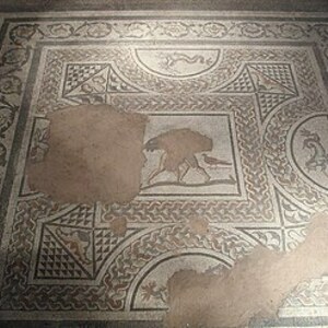 Camulodunum / Colchester: Colchester mosaic; material-culture object or museum find connected with the site, Roman period or local archaeological context.