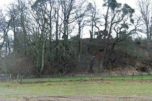Инчтутил: Fort by Inchtuthil Cottage - geograph.org.uk - 336367; археологический вид, находка или музейный контекст, связанный с памятником, римский период или локальный археологический контекст.