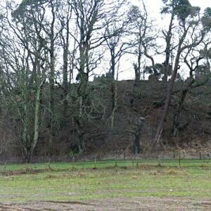 Инчтутил: Fort by Inchtuthil Cottage - geograph.org.uk - 336367; археологический вид, находка или музейный контекст, связанный с памятником, римский период или локальный археологический контекст.