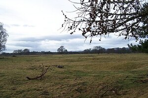 Инчтутил: Roman Fortress Inchtuthil - geograph.org.uk - 662961; археологический вид, находка или музейный контекст, связанный с памятником, римский период или локальный археологический контекст.
