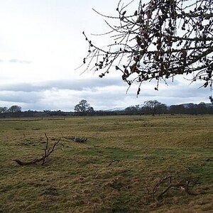 Инчтутил: Roman Fortress Inchtuthil - geograph.org.uk - 662961; археологический вид, находка или музейный контекст, связанный с памятником, римский период или локальный археологический контекст.