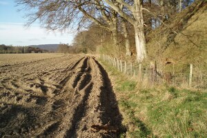 Инчтутил: Boundary alongside old fort, Inchtuthil - geograph.org.uk - 390273; археологический вид, находка или музейный контекст, связанный с памятником, римский период или локальный археологический контекст.