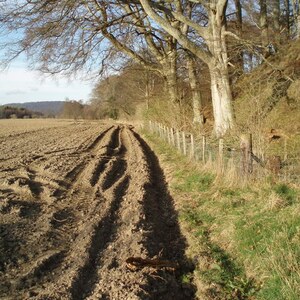 Инчтутил: Boundary alongside old fort, Inchtuthil - geograph.org.uk - 390273; археологический вид, находка или музейный контекст, связанный с памятником, римский период или локальный археологический контекст.