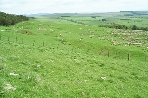 Projectiles,Ballistae,and Burnswark: Roman camp and fortlet, Burnswark Hill - geograph.org.uk - 178732; archaeological view, find or museum context connected with the site, Roman period or local archaeological context.