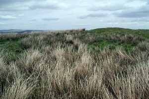 Projectiles,Ballistae,and Burnswark: Burnswark Hill summit - geograph.org.uk - 178738; archaeological view, find or museum context connected with the site, Roman period or local archaeological context.