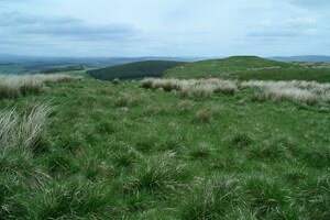 Projectiles,Ballistae,and Burnswark: Summit plateau, Burnswark Hill - geograph.org.uk - 178735; archaeological view, find or museum context connected with the site, Roman period or local archaeological context.
