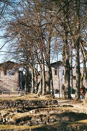 Заальбург: Kastellsaalburg; археологический вид, находка или музейный контекст, связанный с памятником, римский период или локальный археологический контекст.