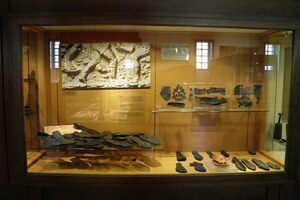 Заальбург: Roman shoes, Saalburgmuseum, Saalburg Roman Fort, Limes Germanicus, Germania (Germany); предмет материальной культуры или музейная находка, связанный с памятником, римский период или локальный археологический контекст.