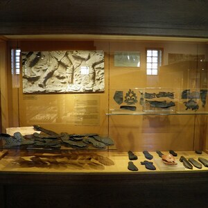 Заальбург: Roman shoes, Saalburgmuseum, Saalburg Roman Fort, Limes Germanicus, Germania (Germany); предмет материальной культуры или музейная находка, связанный с памятником, римский период или локальный археологический контекст.