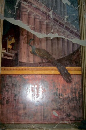 Оплонтис: Fresco with a mask and peacock from the Villa Poppaea, Oplontis; предмет материальной культуры или музейная находка, связанный с памятником, римский период или локальный археологический контекст.
