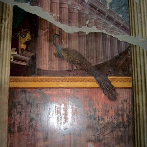 Oplontis: Fresco with a mask and peacock from the Villa Poppaea, Oplontis; material-culture object or museum find connected with the site, Roman period or local archaeological context.