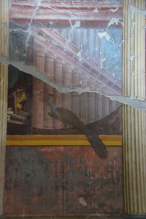 Оплонтис: Fresco in the Second Style with a theatre mask and peacock, east wall of the large oecu...; предмет материальной культуры или музейная находка, связанный с памятником, римский период или локальный археологический контекст.
