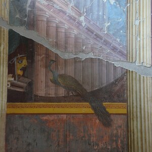 Oplontis: Fresco in the Second Style with a theatre mask and peacock, east wall of the large oecu...; material-culture object or museum find connected with the site, Roman period or local archaeological context.