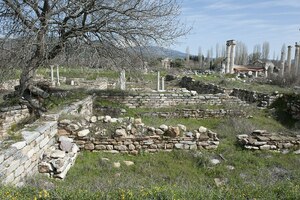 Афродисиада: Aphrodisias House north of Aphrodite Temple 4551; археологический вид, находка или музейный контекст, связанный с памятником, римский период или локальный археологический контекст.