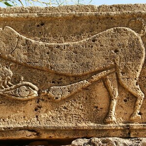 Leptis Magna: Fascinum relief in Leptis Magna; material-culture object or museum find connected with the site, Roman period or local archaeological context.