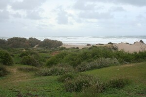 Лептис-Магна: 43 Coastline near Hunting Baths; археологический вид, находка или музейный контекст, связанный с памятником, римский период или локальный археологический контекст.