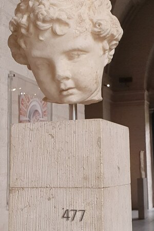 Glyptothek Munich - Room 5-Head of a boy. Object from the collection: Glyptothek and State Collections of Antiquities, Munich.