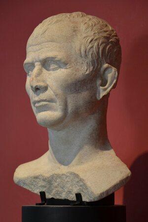 Marble bust found in the Rhone River near Arles, debated as a possible portrait of Julius Caesar, Musée de l'Arles antique (14537968718). Экспонат из собрания: Музей античного Арля.