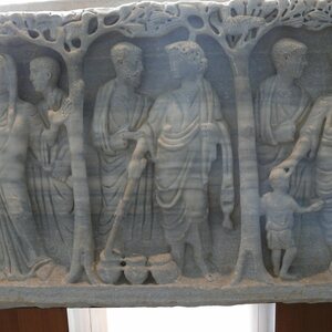 Arles sarcophagus trees. Экспонат из собрания: Музей античного Арля.