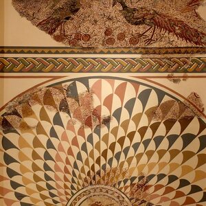 Tarragona MNAT Mosaic Peacock. Object from the collection: MNAT: National Archaeological Museum of Tarragona.