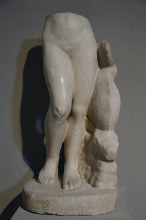 Lower part of a statue of Aphrodite Anadyomene (rising from the sea), from the Gymnasium of Salamis, 2nd century AD, Cyprus Museum, Nicosia, Cyprus (21875034084). Экспонат из собрания: Кипрский музей.