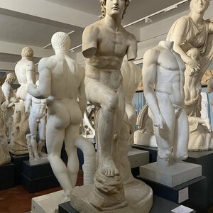 Эшмолеан: античные коллекции: Ashmolean Museum Cast Gallery Basement 3.