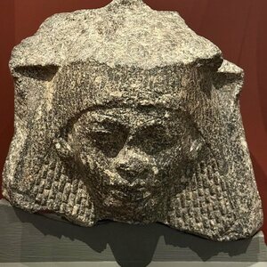Head from a life-size granodiorite statue of a man. Unprovenanced, 18th Dynasty.Ashmolean Museum Oxford. Object from the collection: Ashmolean Museum: Antiquities.