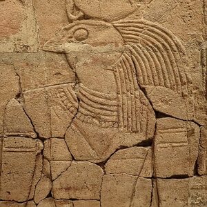 Closeup of relief depicting Horus on the Shrine of the 25th dynasty pharaoh and Kushite King Taharqa Egypt 7th century BCE (28159797415). Object from the collection: Ashmolean Museum: Antiquities.