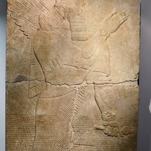 Relief from the palace of the Assyrian king Assurnasirpal II at Nimrud, 9th cent. BCE, Ny Carlsberg Glyptotek, Copenhagen (4) (36023083590). Экспонат из собрания: Новая глиптотека Карлсберга и античность.
